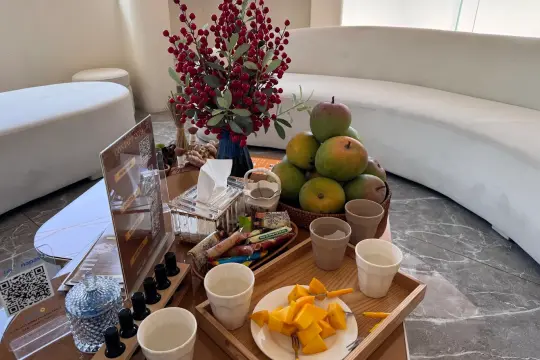 Himalaya Luxury Spa & Massage