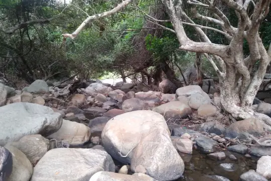 Suối Lồ Ồ Nha Trang