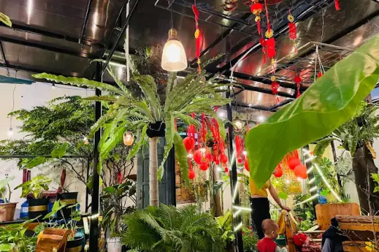 MAY - 五月茶馆金兰店