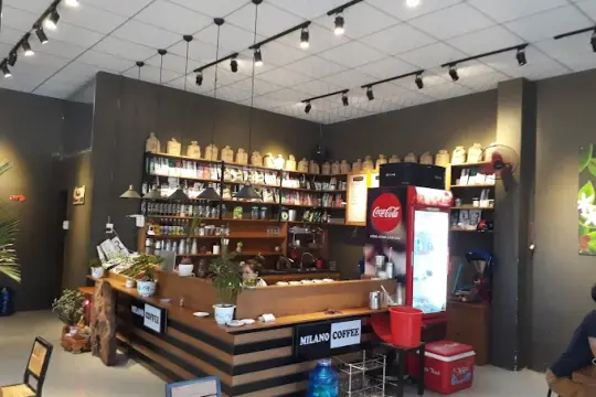 Cafe Milano Panda Ниньхоа