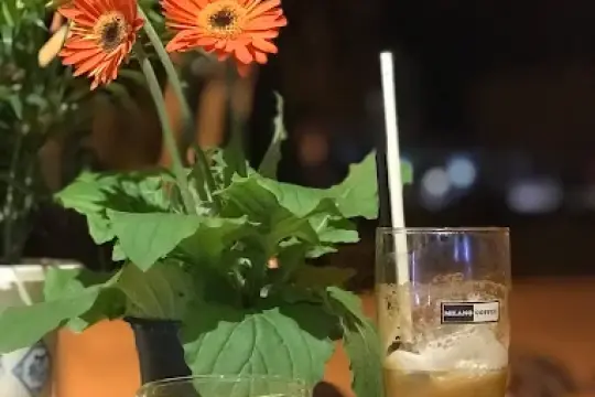 Cafe Milano Panda Ninh Hòa