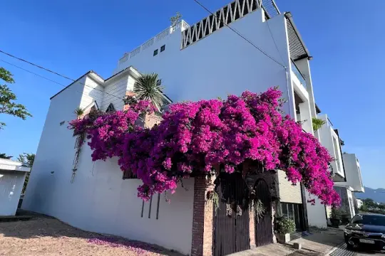 Phúc Lâm Homestay