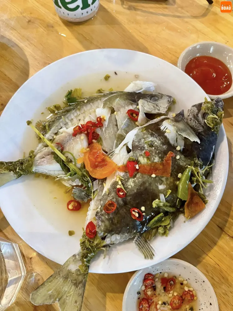 Lẩu Cá Dìa Nha Trang: TOP Món Hải Sản