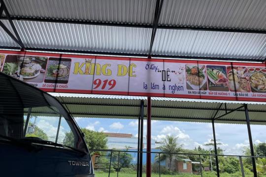 King Dê 919