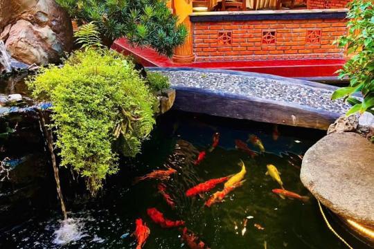 Ресторан «Бьен Нгок» (Bien Ngoc Restaurant)