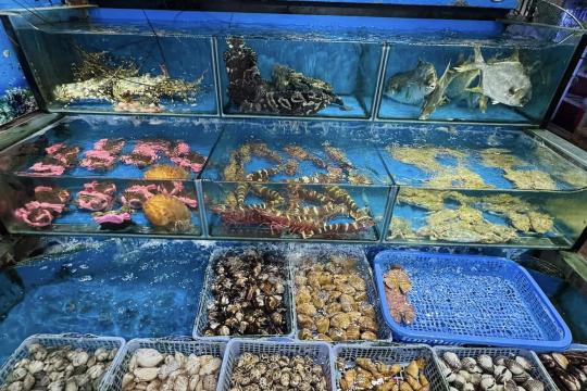 Nhà Hàng Hải Sản C8 Ninh Thuận