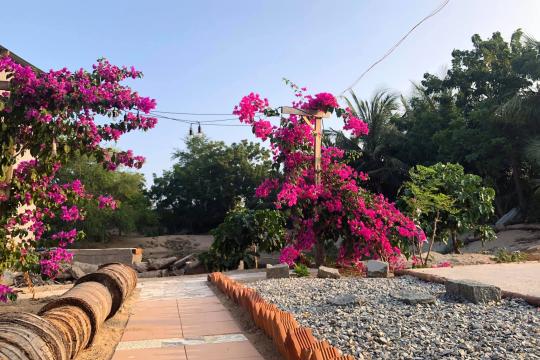 NANA Homestay