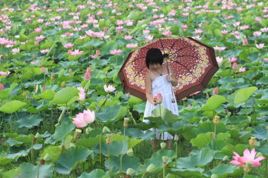 Khu Du lịch Văn hoá Sinh thái Sen Caraih