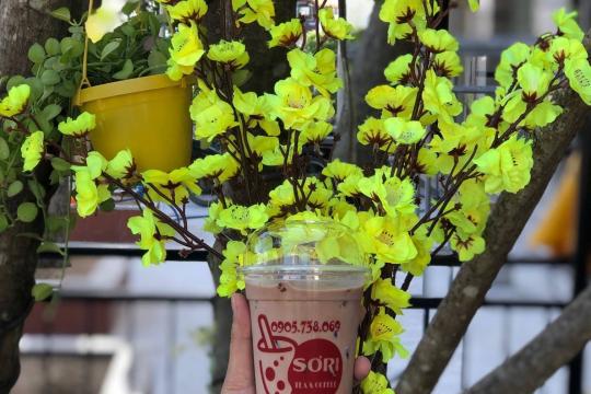Sơri - Tea & Coffee Ninh Hoà