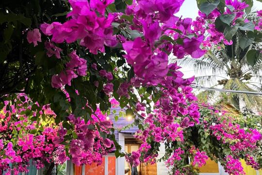 Homestay Sắc Màu