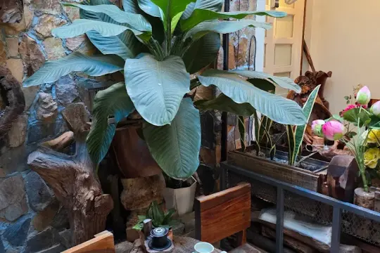 ĐẮK Coffee & Tea