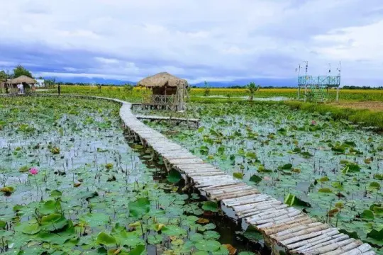 Khu Du lịch Văn hoá Sinh thái Sen Caraih