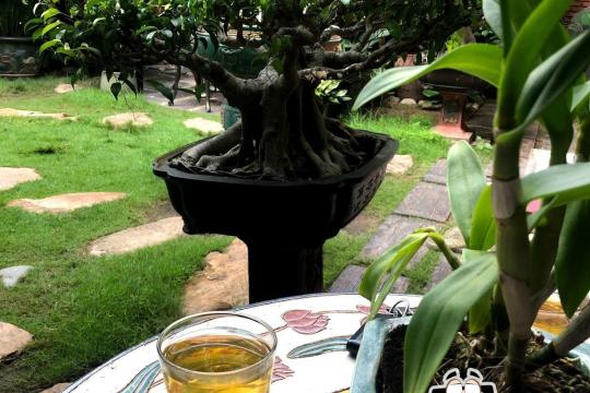 Cà Phê Điền Viên Khánh Hòa