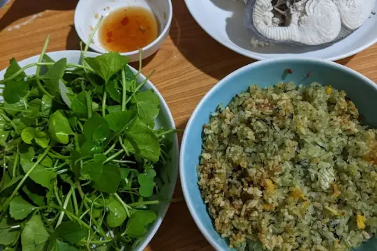 Quán Cơm Thu Vân – Địa Chỉ Cơm Ngon Bình Dân Được Yêu Thích Tại Vạn Ninh, Khánh Hòa
