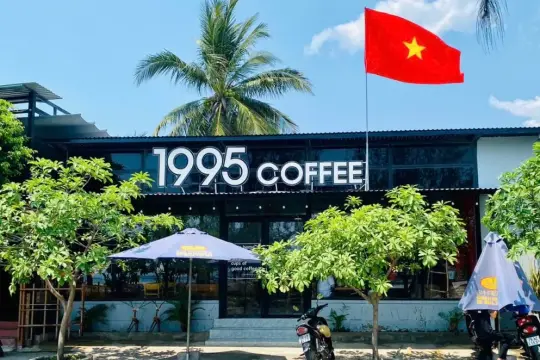 1995 Coffee