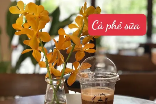 Aloha Cafe Van Ninh