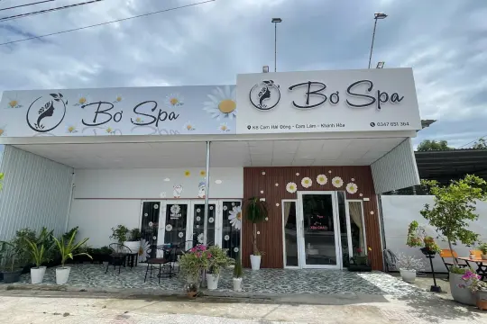 Bơ Spa
