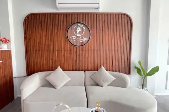 Bơ Spa