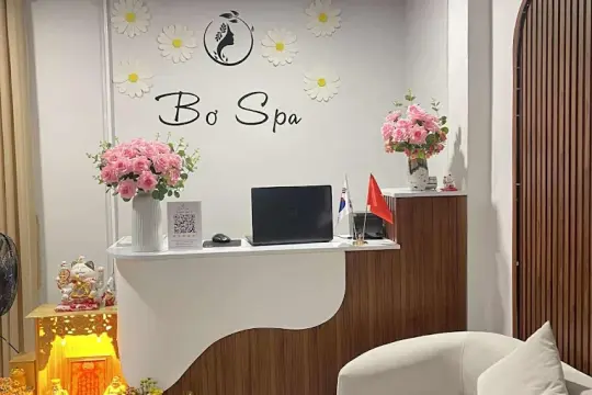 Bơ Spa