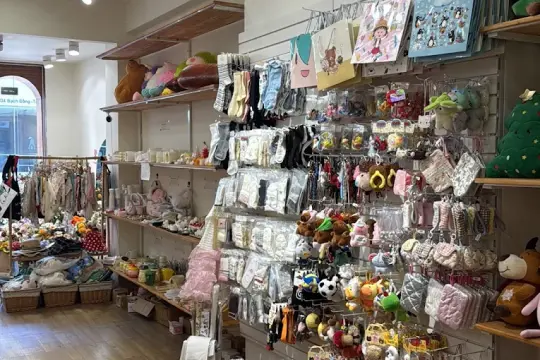 Daisy Bloom | Unique Gift & Accessory Shop