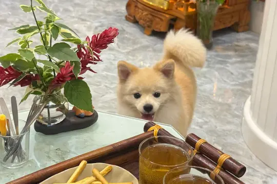 Mộc Spa Massage